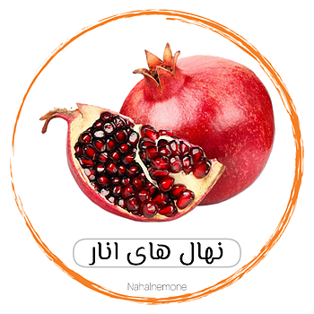 انواع انار