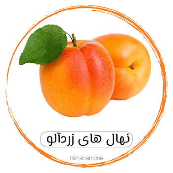 انواع زردآلو