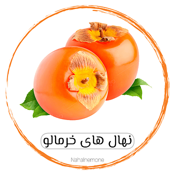 انواع خرمالو