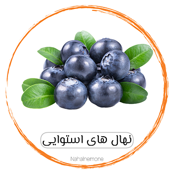 انواع ارقام بری